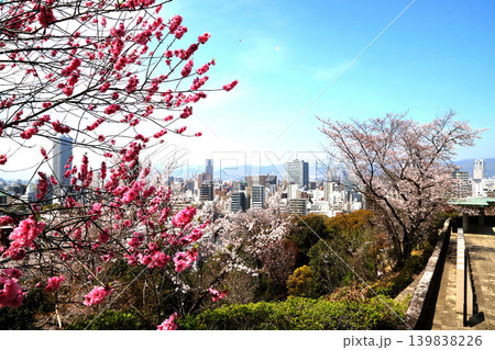 比治山公園さくら 139838226