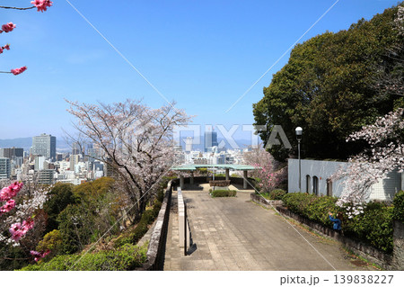比治山公園さくら 139838227