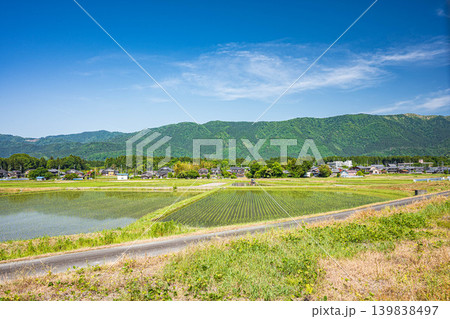 奥琵琶湖の田園風景　滋賀県高島市マキノ町 139838497