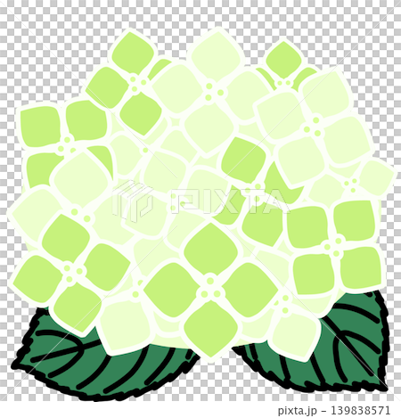 シンプルな紫陽花のイラスト シンプルな紫陽花のイラスト 139838571