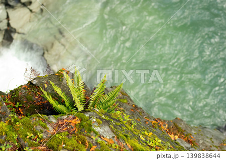 Turquoise river in a mountain canyon in fall rainforest. Turquoise river in a mountain canyon in fall rainforest. 139838644