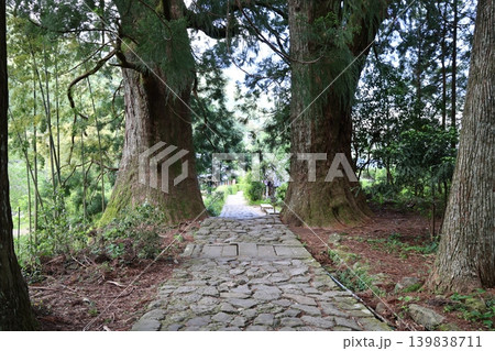 世界遺産熊野古道の大門坂風景3 世界遺産熊野古道の大門坂風景3 139838711