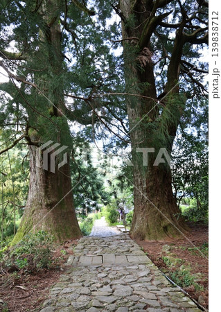 世界遺産熊野古道の大門坂風景4 世界遺産熊野古道の大門坂風景4 139838712