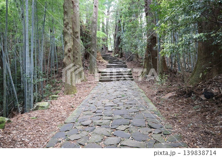 世界遺産熊野古道の大門坂風景6 世界遺産熊野古道の大門坂風景6 139838714