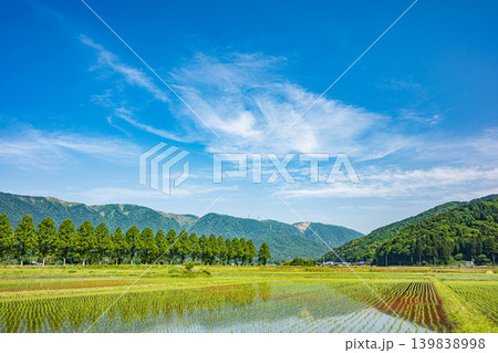 奥琵琶湖の田園風景　滋賀県高島市マキノ町 139838998