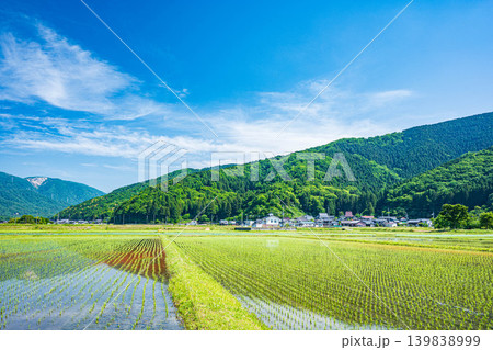奥琵琶湖の田園風景　滋賀県高島市マキノ町 139838999