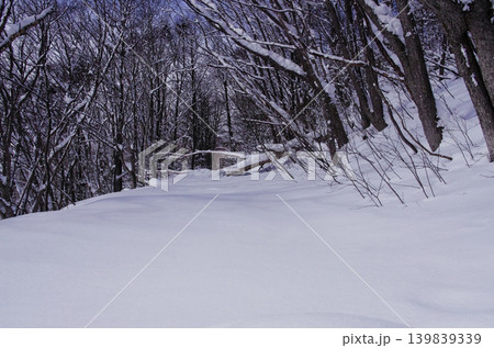 雪に覆われた山道と冬の木立 雪に覆われた山道と冬の木立 139839339