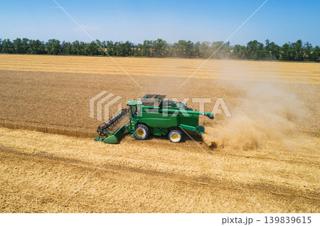 Combine harvester cuts and processes golden wheat in a wide field on a sunny day, kicking up dust Combine harvester cuts and processes golden wheat in a wide field on a sunny day, kicking up dust 139839615
