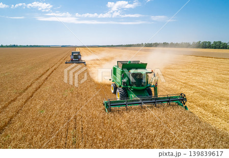 Two large combine harvesters diligently harvest golden wheat in a vast field Two large combine harvesters diligently harvest golden wheat in a vast field 139839617