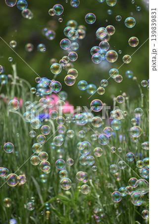 お花畑に舞うシャボン玉 139839831