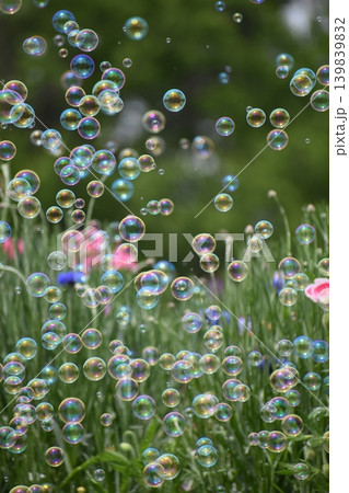 お花畑に舞うシャボン玉 お花畑に舞うシャボン玉 139839832