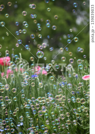 お花畑に舞うシャボン玉 お花畑に舞うシャボン玉 139839833
