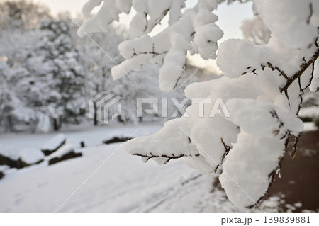 雪景色の朝の花島公園 139839881