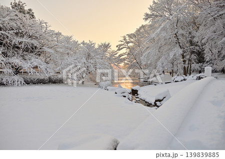雪景色の朝の花島公園 139839885