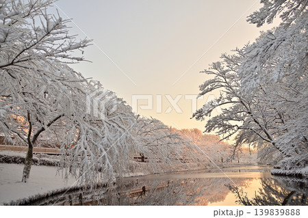 雪景色の朝の花島公園 雪景色の朝の花島公園 139839888