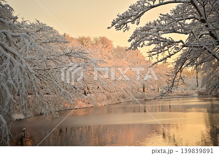 雪景色の朝の花島公園 139839891