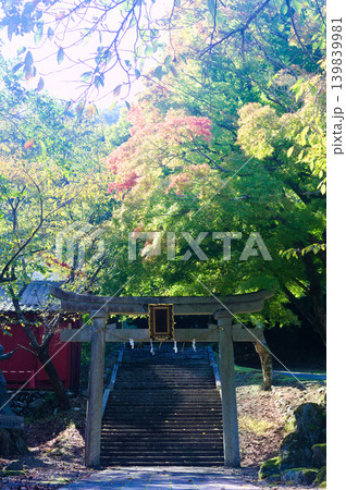 熊川宿、色づく秋の神社と石造りの鳥居 139839981