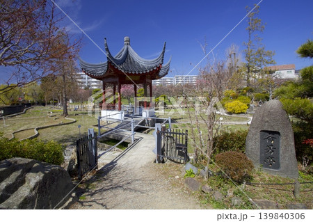 水月公園 / 早春の梅林 139840306