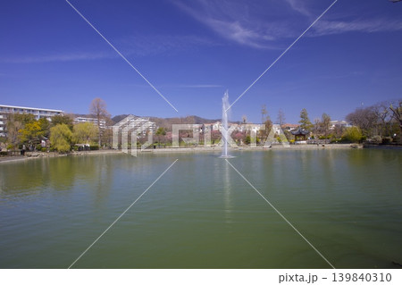 水月公園 / 早春の梅林 水月公園 / 早春の梅林 139840310