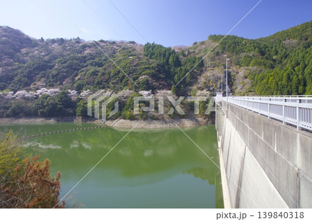 淡路島・諭鶴羽ダム公園の桜（ソメイヨシノ）、諭鶴羽山の新緑と山桜 139840318