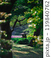 初夏の和風庭園を彩る花菖蒲と灯篭 139840762