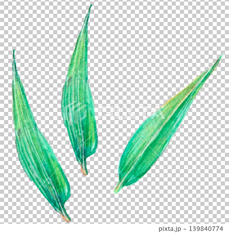 笹の葉のイラスト 139840774