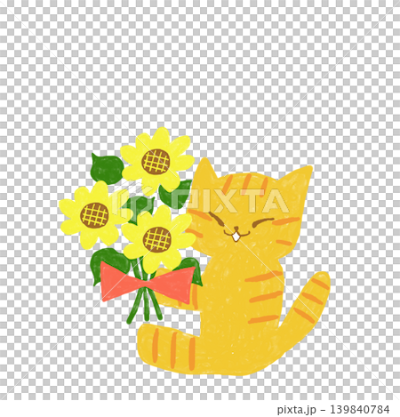 ひまわりの花束を笑顔で持つ茶トラ猫　夏の贈り物イラスト 139840784