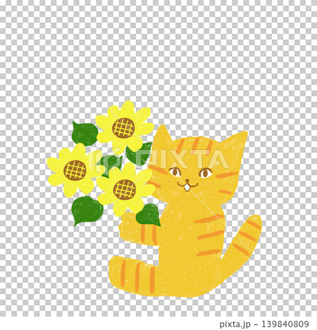 A tabby cat holding a bouquet of sunflowers - a cute summer animal illustration. A tabby cat holding a bouquet of sunflowers - a cute summer animal illustration. 139840809
