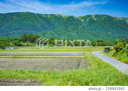 奥琵琶湖の長閑な田園風景 滋賀県高島市マキノ町 奥琵琶湖の長閑な田園風景 滋賀県高島市マキノ町 139841082