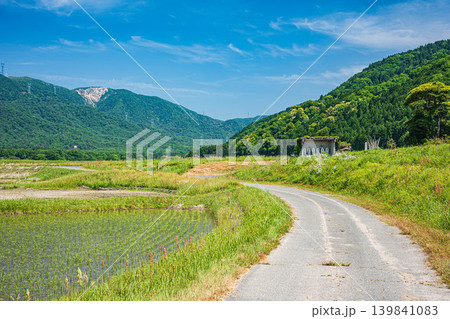 奥琵琶湖の長閑な田園風景　滋賀県高島市マキノ町 139841083
