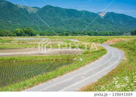 奥琵琶湖の長閑な田園風景　滋賀県高島市マキノ町 139841084