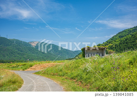 奥琵琶湖の長閑な田園風景　滋賀県高島市マキノ町 139841085
