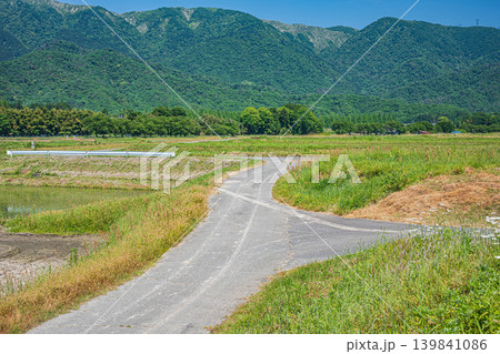 奥琵琶湖の長閑な田園風景　滋賀県高島市マキノ町 139841086