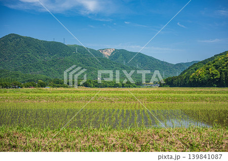 奥琵琶湖の長閑な田園風景　滋賀県高島市マキノ町 139841087