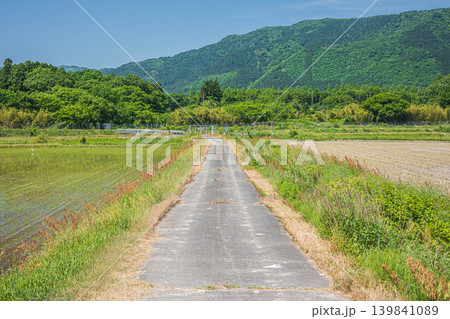 奥琵琶湖の長閑な田園風景 滋賀県高島市マキノ町 奥琵琶湖の長閑な田園風景 滋賀県高島市マキノ町 139841089