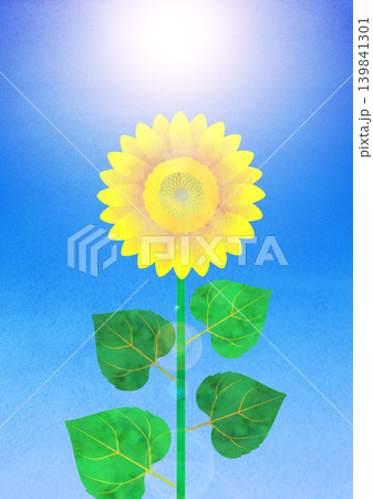 水彩風青空にひまわりのイラスト・イエロー 139841301