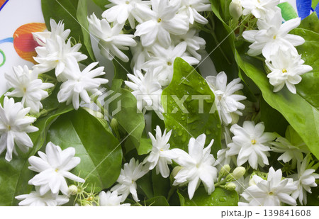 White jasmine flowers White jasmine flowers 139841608