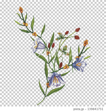 Wildflower Bouquet Botanical Illustration Wildflower Bouquet Botanical Illustration 139841731