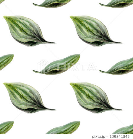 Plantain leaves seamless pattern watercolor illustration. Plantago foliage for organic clean beauty cosmetics packaging, natural vegan skincare branding, bio wellness textile print, herbal design Plantain leaves seamless pattern watercolor illustration. Plantago foliage for organic clean beauty cosmetics packaging, natural vegan skincare branding, bio wellness textile print, herbal design 139841845
