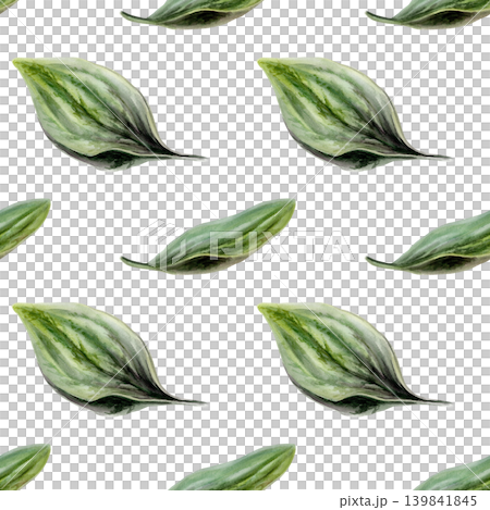 Plantain leaves seamless pattern watercolor illustration. Plantago foliage for organic clean beauty cosmetics packaging, natural vegan skincare branding, bio wellness textile print, herbal design Plantain leaves seamless pattern watercolor illustration. Plantago foliage for organic clean beauty cosmetics packaging, natural vegan skincare branding, bio wellness textile print, herbal design 139841845