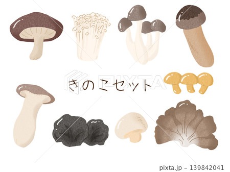 いろいろなきのこのセット 139842041