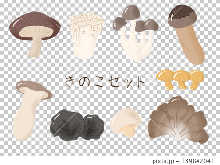 いろいろなきのこのセット 139842041