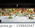 松江フォーゲルパーク入口 139842047