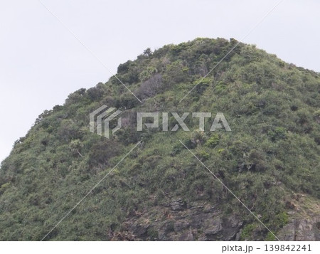 フェリーからの孤島 139842241