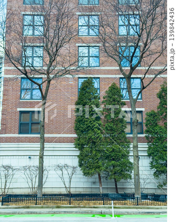 Trees and building line a city street during winter in an urban area with bare branches and evergreens under a clear sky Trees and building line a city street during winter in an urban area with bare branches and evergreens under a clear sky 139842436