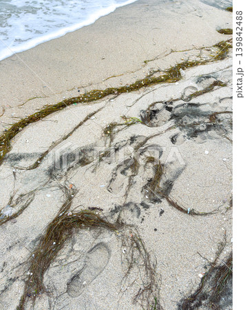 Footprints in the sand near the ocean with seaweed at a beach during daytime 139842488