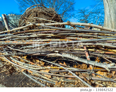 Wooden sticks are piled up near tree remains on a sunny day in a park during early spring, showing the changing landscape and nature 139842522
