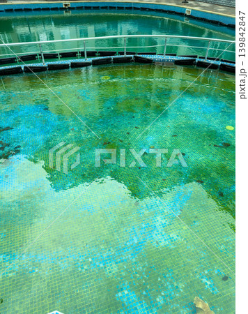 Bright blue water shows reflections in a large pool near the edge of a public park during a sunny day 139842847