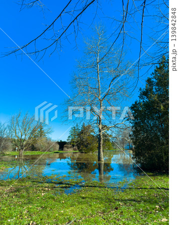 Trees and water reflect on a sunny day in a flooded field near a park in early spring 139842848