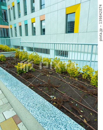 Gardens with yellow plants and soil near a modern building in a city during the day with bright colors and urban design elements 139842874